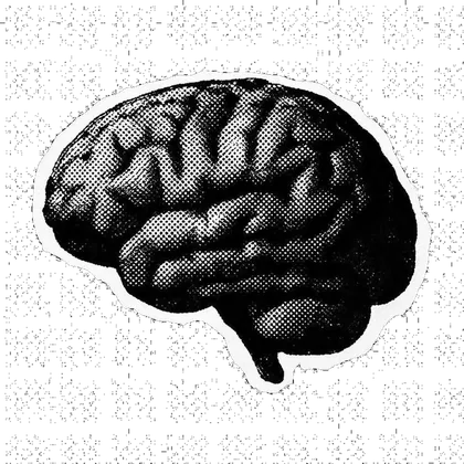 Brain illustration